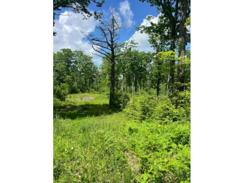 Canaan Street Lake is a pristine 291-acre jewel tucked away in - photo 7