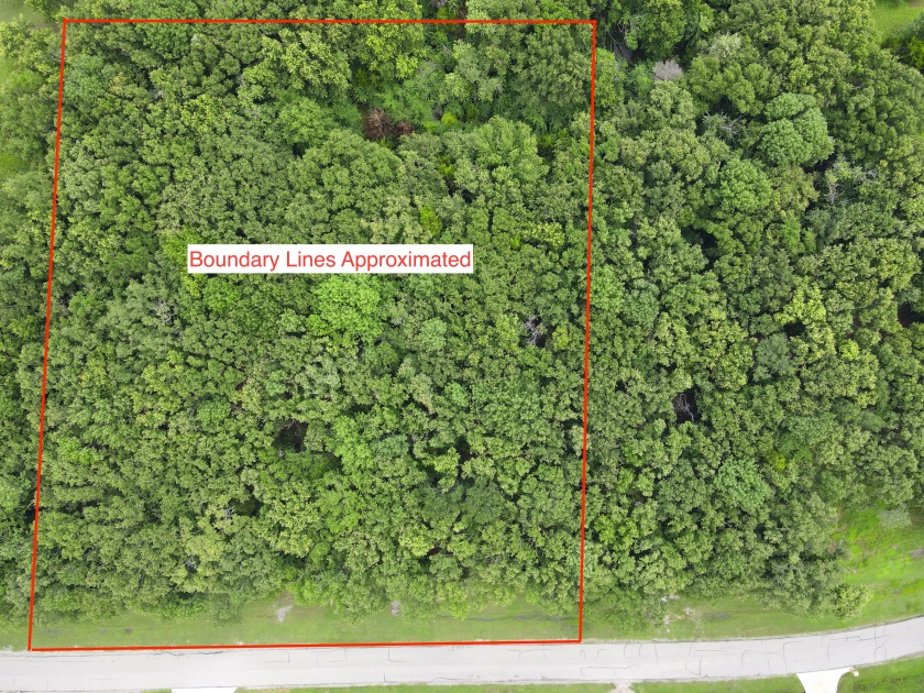 2 acre Wooded Lot in The Shores at Richland Chambers Lake - photo 28