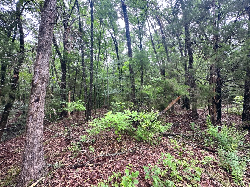 2 acre Wooded Lot in The Shores at Richland Chambers Lake - photo 17