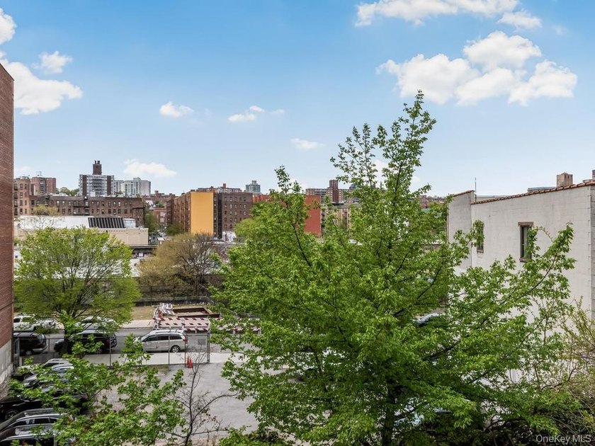 Sun-Drenched Sophistication Near Van Cortlandt Park Stop renting - photo 11