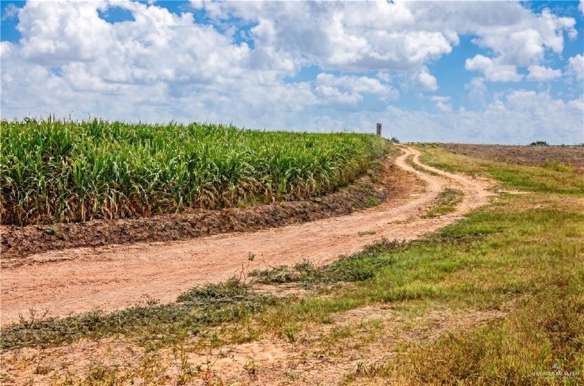 Exceptional 170+/- acre farm in Hidalgo County, with an - photo 11