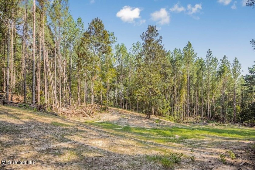 Hunting land for sale in Wilkinson County, MS bordering the - photo 13