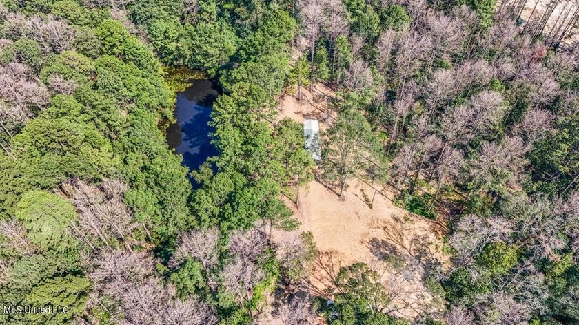 Hunting land for sale in Wilkinson County, MS bordering the - photo 18