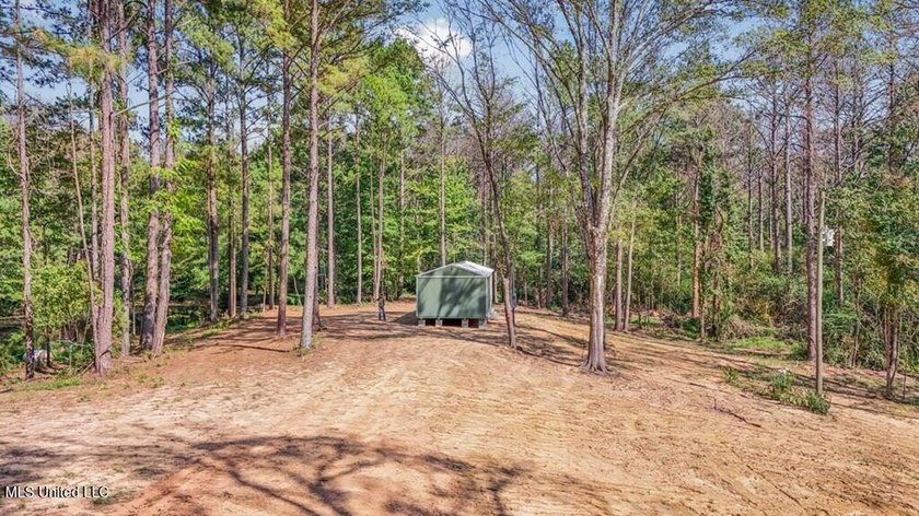 Hunting land for sale in Wilkinson County, MS bordering the - photo 19