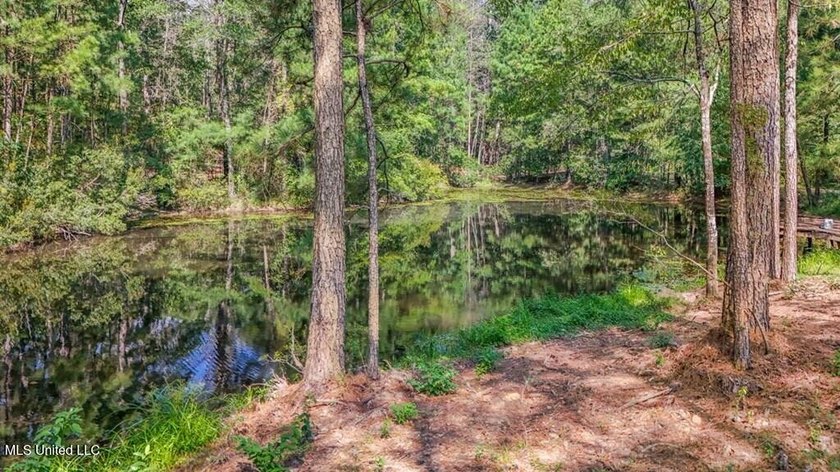 Hunting land for sale in Wilkinson County, MS bordering the - photo 20