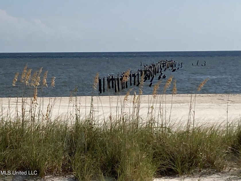 One of the last parcels directly on the beach overlooking the - photo 16