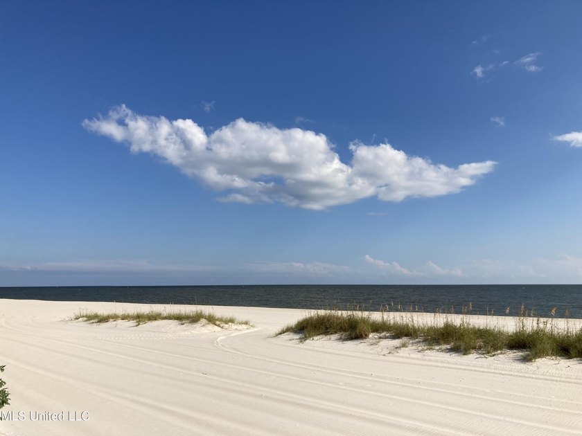 One of the last parcels directly on the beach overlooking the - photo 19