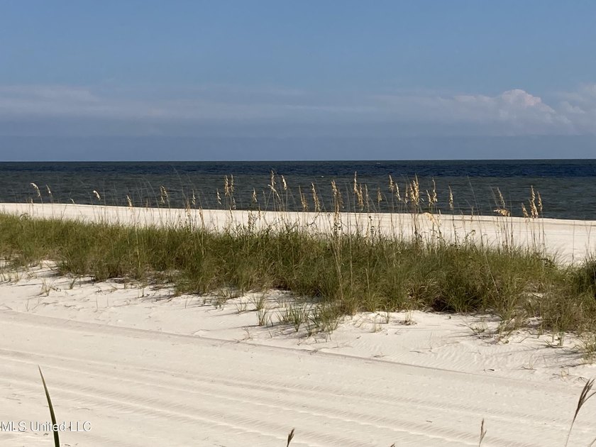 One of the last parcels directly on the beach overlooking the - photo 20