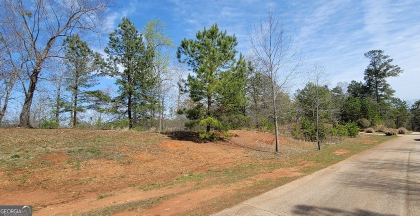Discover the perfect setting for your dream home at 334 - photo 3
