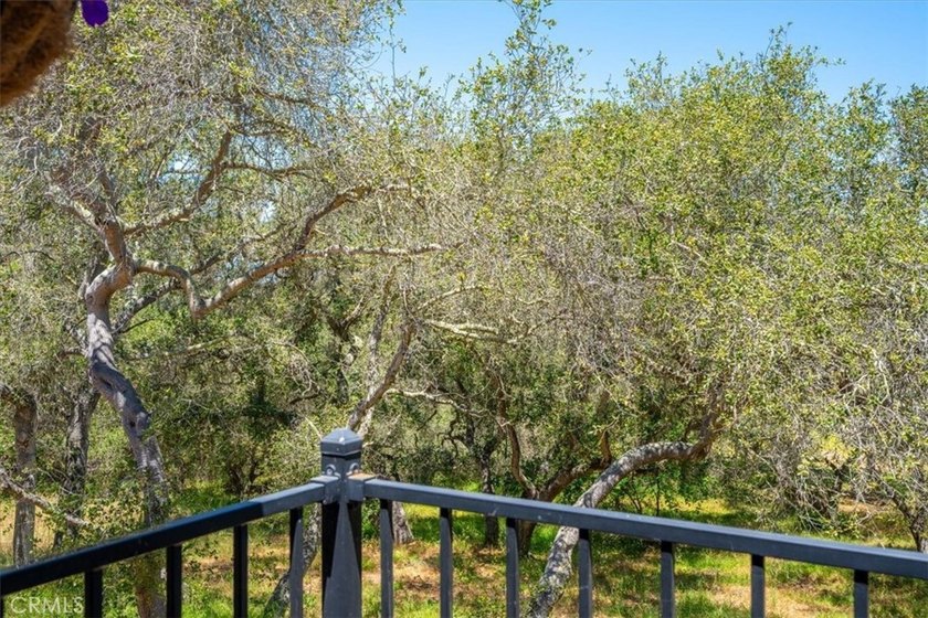 1382 Tourney Hill Ln - photo 26