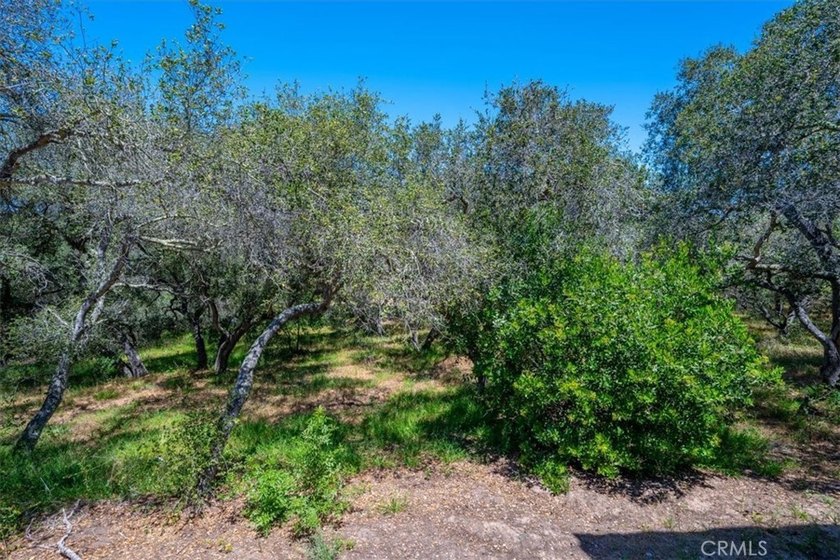 1382 Tourney Hill Ln - photo 27