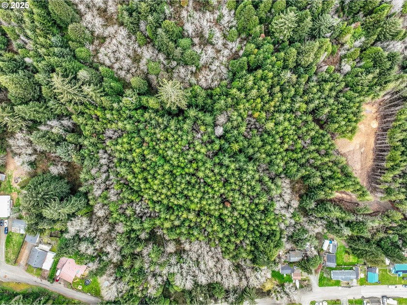 Prime 7.74-Acre Development Opportunity - Ideal for Investors! - photo 9