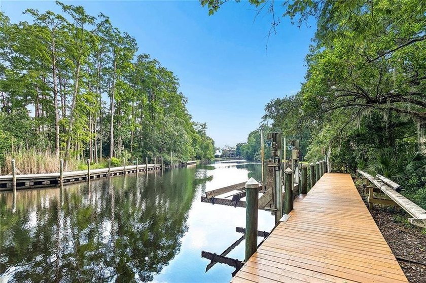 Experience nature up close on Bayou Bonfouca! Three - photo 4