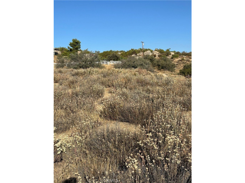 Meadowview Way - photo 18