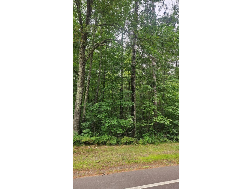 Nestled in the heart of the Northwoods, this 0.727 acre flat - photo 6