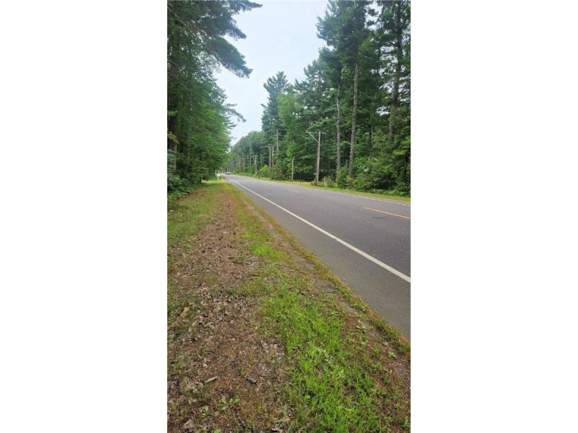 Nestled in the heart of the Northwoods, this 0.727 acre flat - photo 7