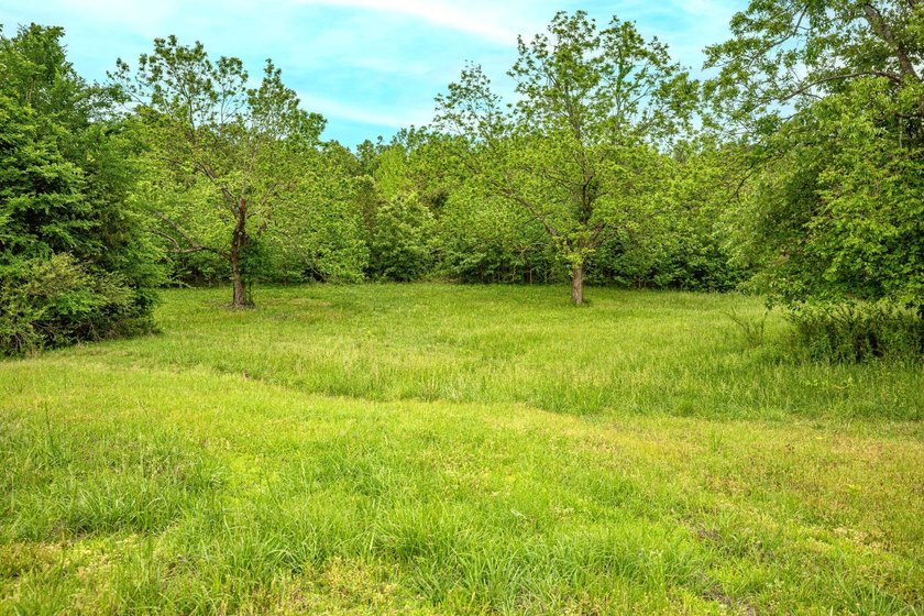 Private Hunting Retreat with Pond, Hardwood Timber &amp; Homesite - photo 11
