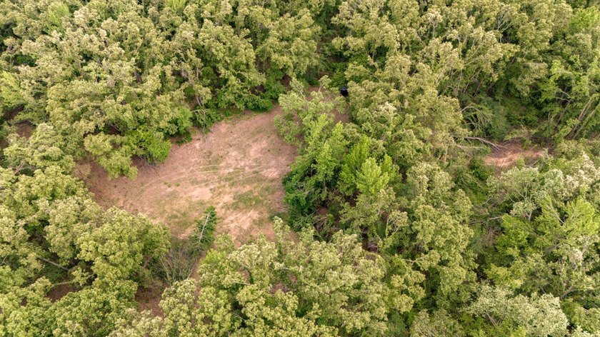 Private Hunting Retreat with Pond, Hardwood Timber &amp; Homesite - photo 12