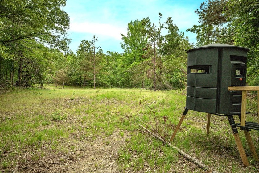 Private Hunting Retreat with Pond, Hardwood Timber &amp; Homesite - photo 15