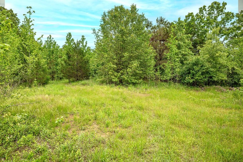 Private Hunting Retreat with Pond, Hardwood Timber &amp; Homesite - photo 28