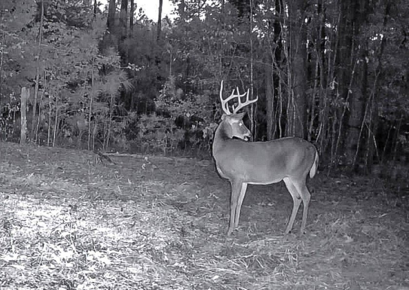 Private Hunting Retreat with Pond, Hardwood Timber &amp; Homesite - photo 33