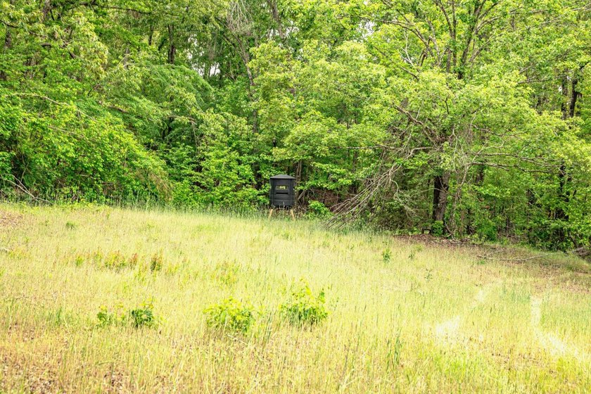 Private Hunting Retreat with Pond, Hardwood Timber &amp; Homesite - photo 39
