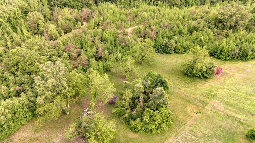 Private Hunting Retreat with Pond, Hardwood Timber &amp; Homesite - photo 49