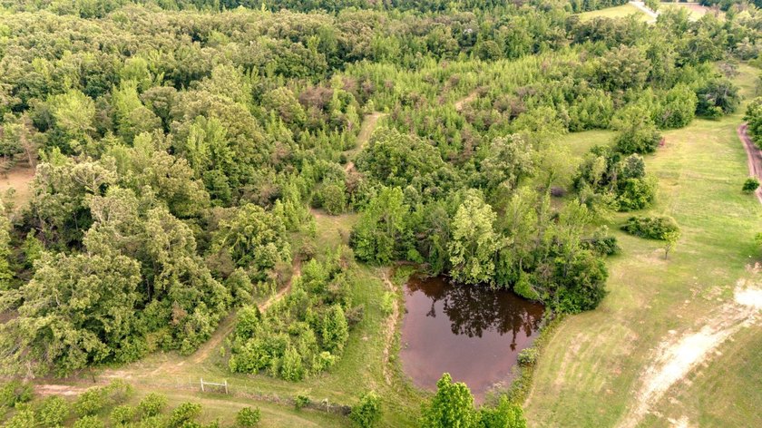 Private Hunting Retreat with Pond, Hardwood Timber &amp; Homesite - photo 50