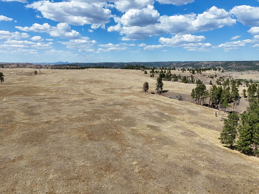 Tower Lookout Ranch offers 494+/- acres of productive pasture - photo 12