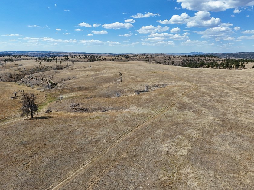 Tower Lookout Ranch offers 494+/- acres of productive pasture - photo 22