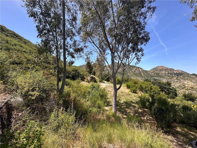 Unrivaled Canyon Living Meets Coastal Convenience. Discover the - photo 12