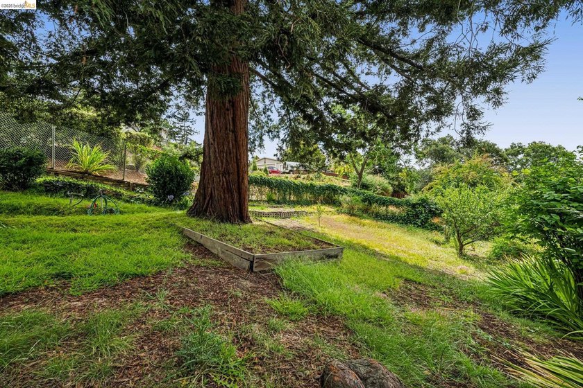 Opportunity awaits in one of Piedmont's most desirable - photo 16