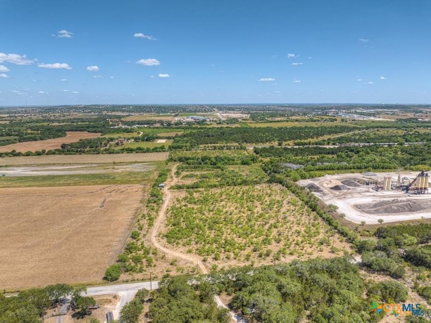20 Acres of Ag-Exempt Land on Old Nacogdoches Road Discover a - photo 5