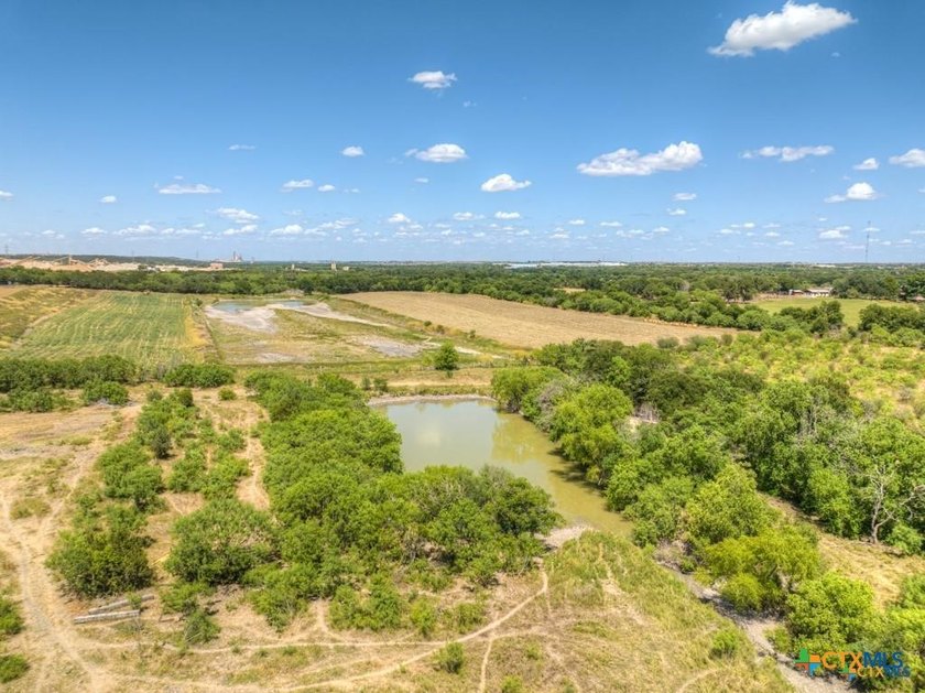 20 Acres of Ag-Exempt Land on Old Nacogdoches Road Discover a - photo 10