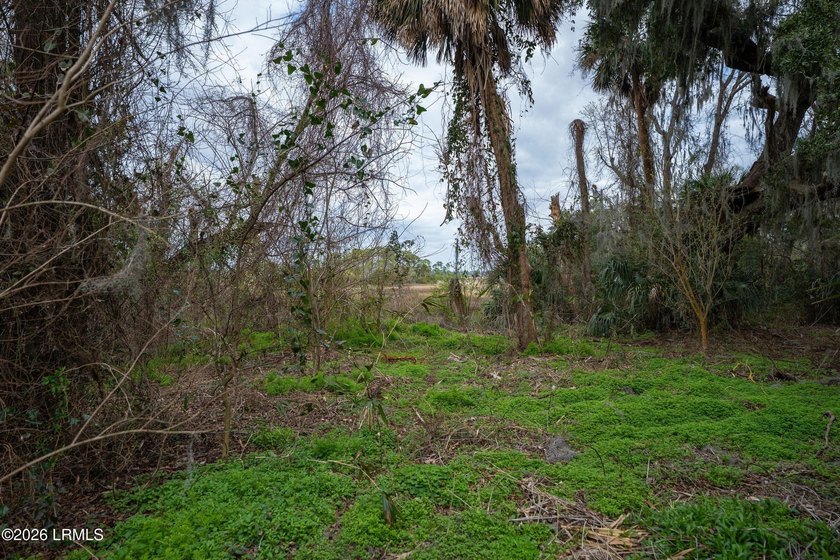 A Rare Find In The Highly Desirable Spanish Wells Area Of Hilton - photo 7