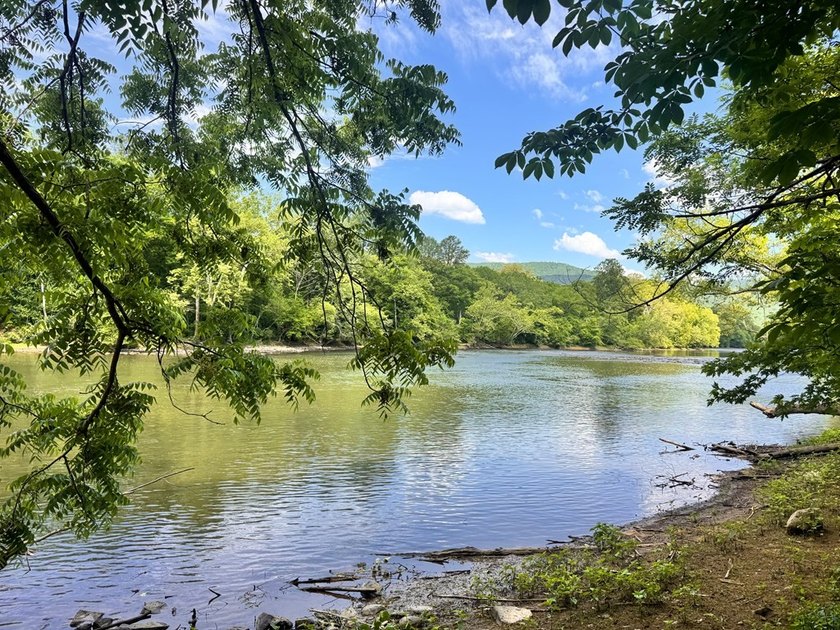 RARE NEW RIVER WATERFRONT OPPORTUNITY - 2.85 ACRES IN NEW RIVER - photo 6