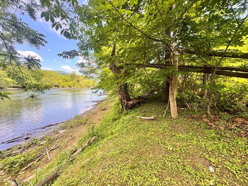 RARE NEW RIVER WATERFRONT OPPORTUNITY - 2.85 ACRES IN NEW RIVER - photo 8