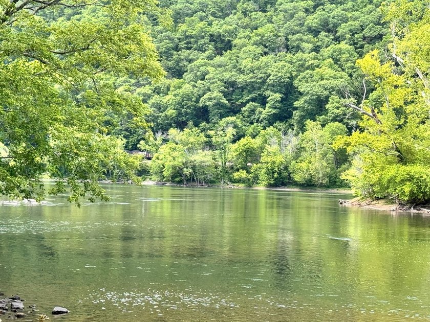 RARE NEW RIVER WATERFRONT OPPORTUNITY - 2.85 ACRES IN NEW RIVER - photo 10
