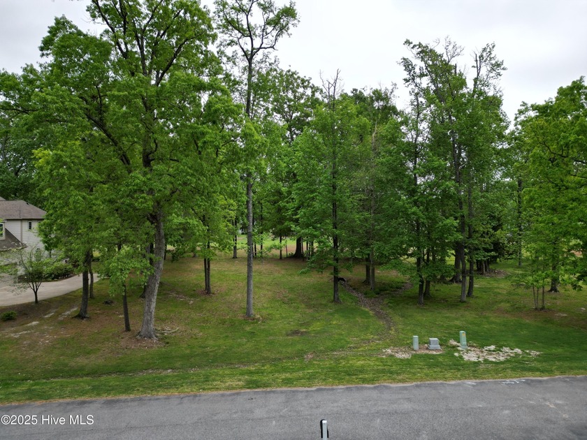 Beautiful, level, golf course, .29 acre lot ready for your new - photo 3