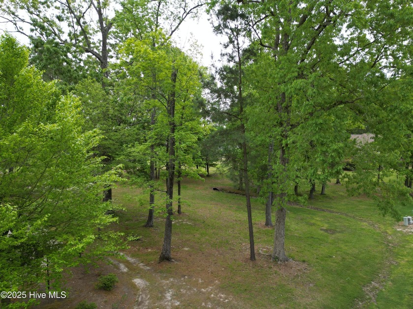 Beautiful, level, golf course, .29 acre lot ready for your new - photo 4