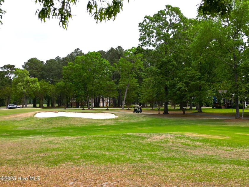 Beautiful, level, golf course, .29 acre lot ready for your new - photo 6