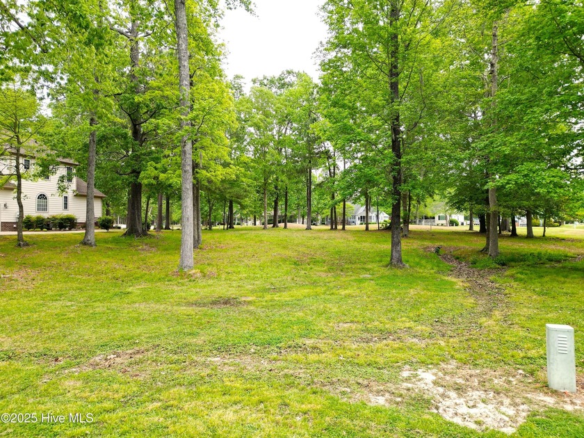 Beautiful, level, golf course, .29 acre lot ready for your new - photo 7