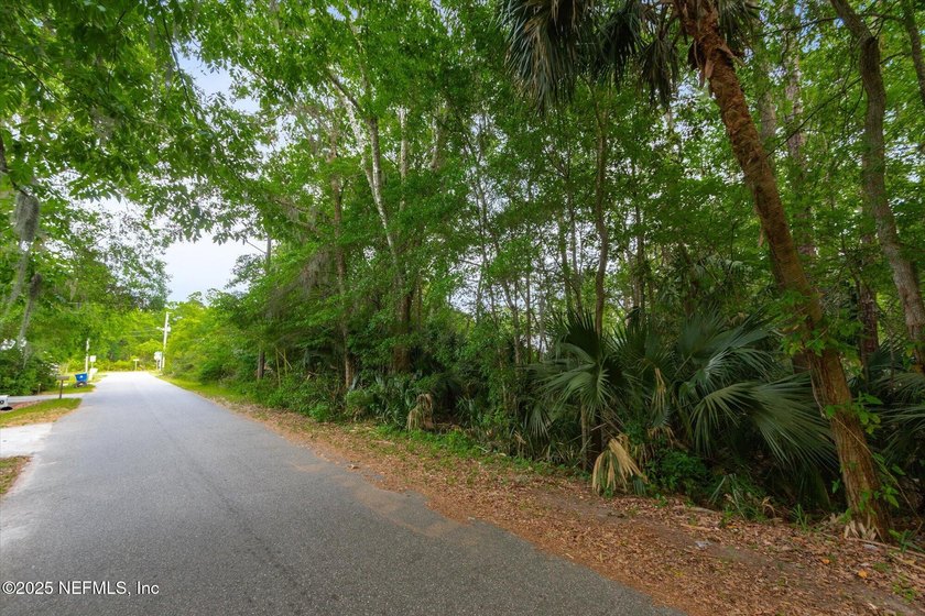 **Rare Development Opportunity - 8 Buildable Lots Near Downtown - photo 22