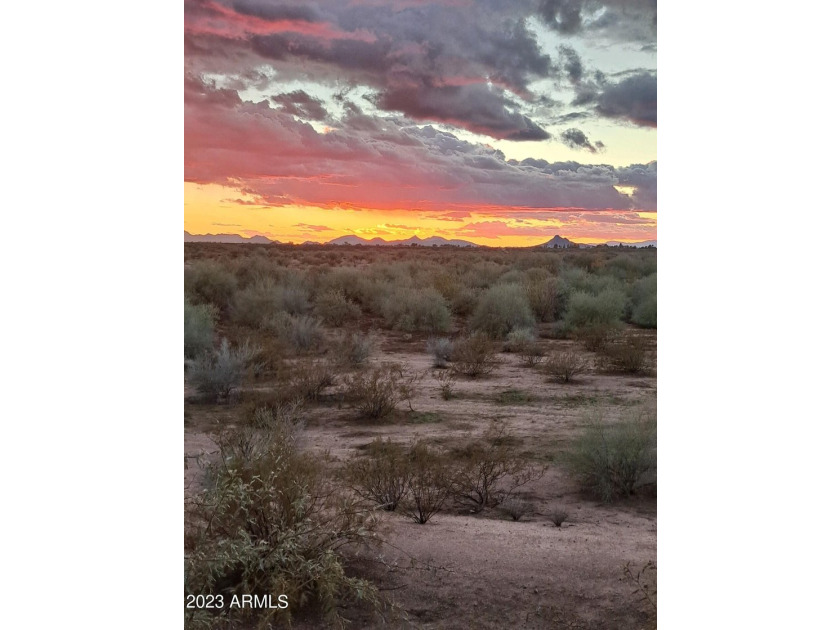 Welcome to your dream home! This remarkable 3-bedroom, 2-bath - photo 44