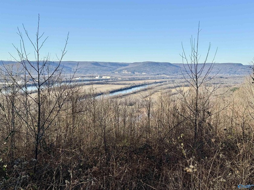 Discover this incredible hunting and recreational tract on Sand - photo 12