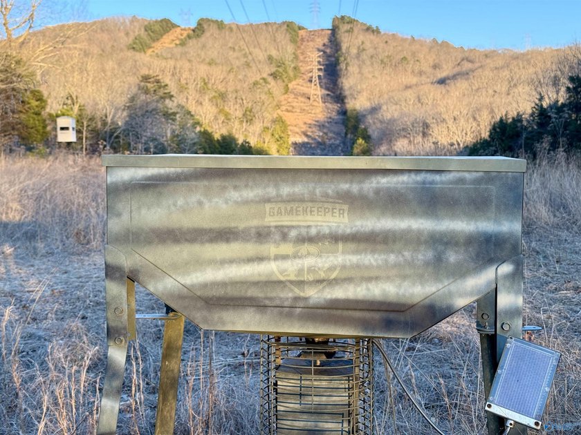 Discover this incredible hunting and recreational tract on Sand - photo 16