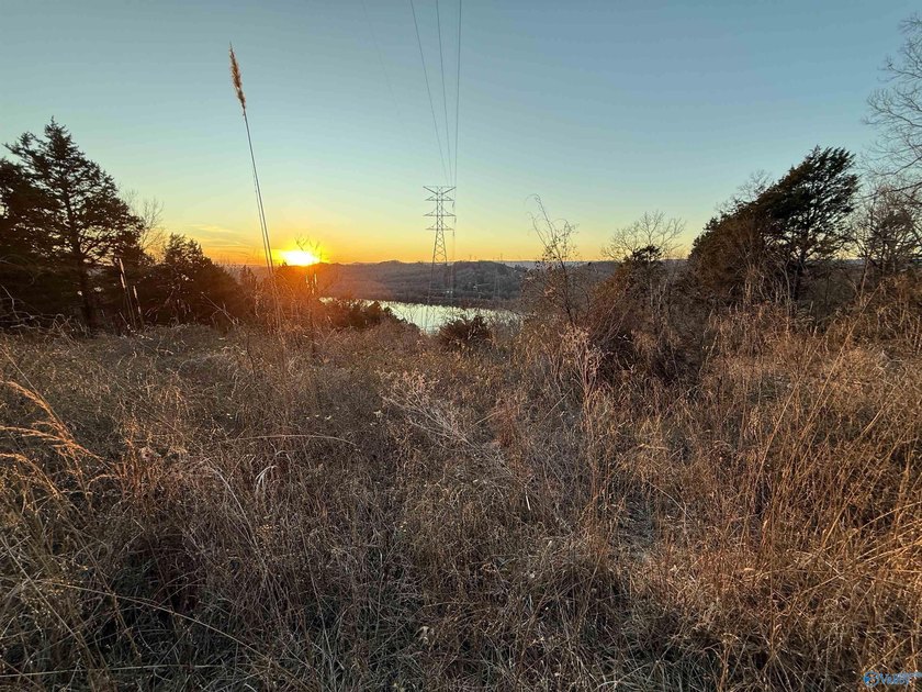 Discover this incredible hunting and recreational tract on Sand - photo 17