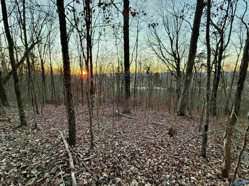 Discover this incredible hunting and recreational tract on Sand - photo 18