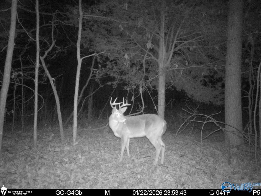Discover this incredible hunting and recreational tract on Sand - photo 19