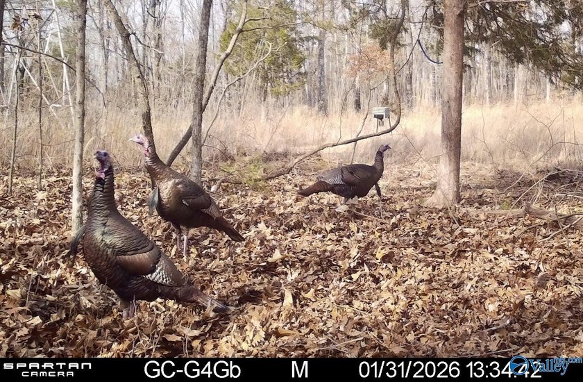 Discover this incredible hunting and recreational tract on Sand - photo 25